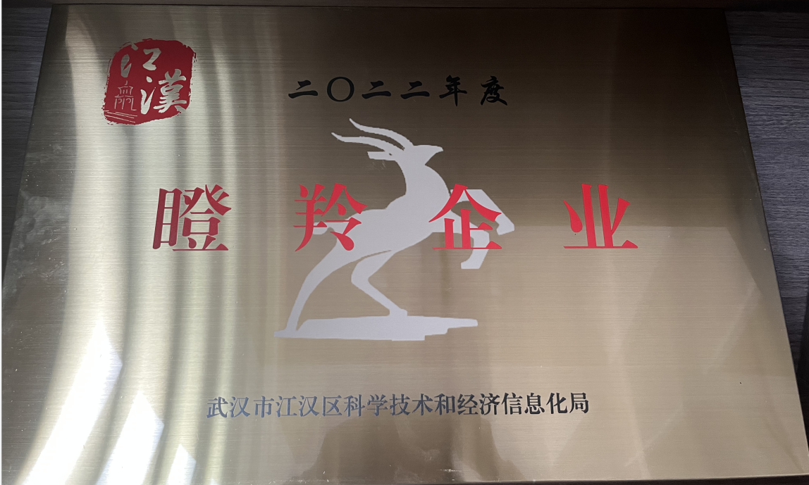 2022年度江汉区“瞪羚企业”
